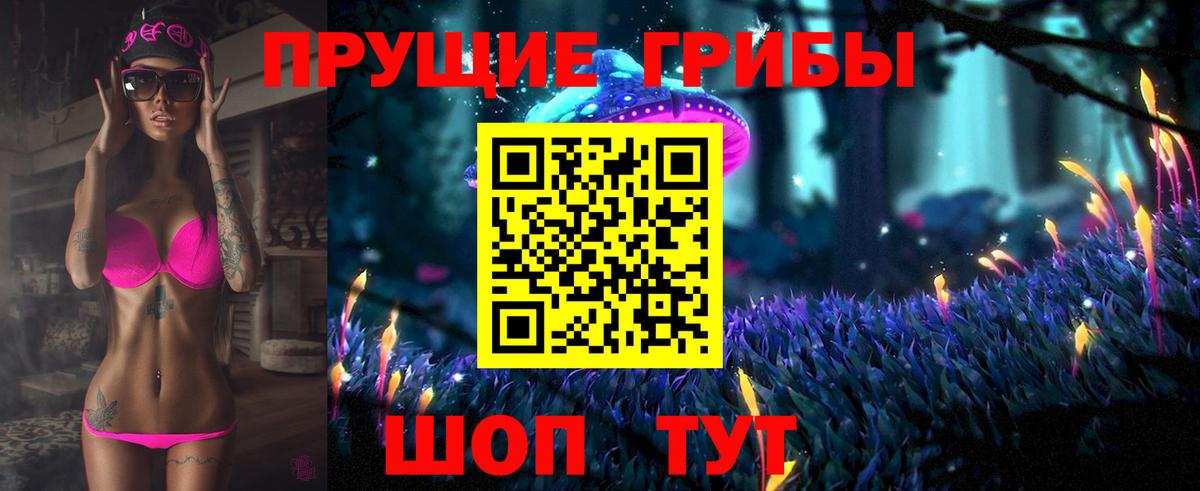 купить наркотик  Галлюциногенные грибы Magic Shrooms  Брянск  Вход с VPN  Галлюциногенные грибы прущие грибы 